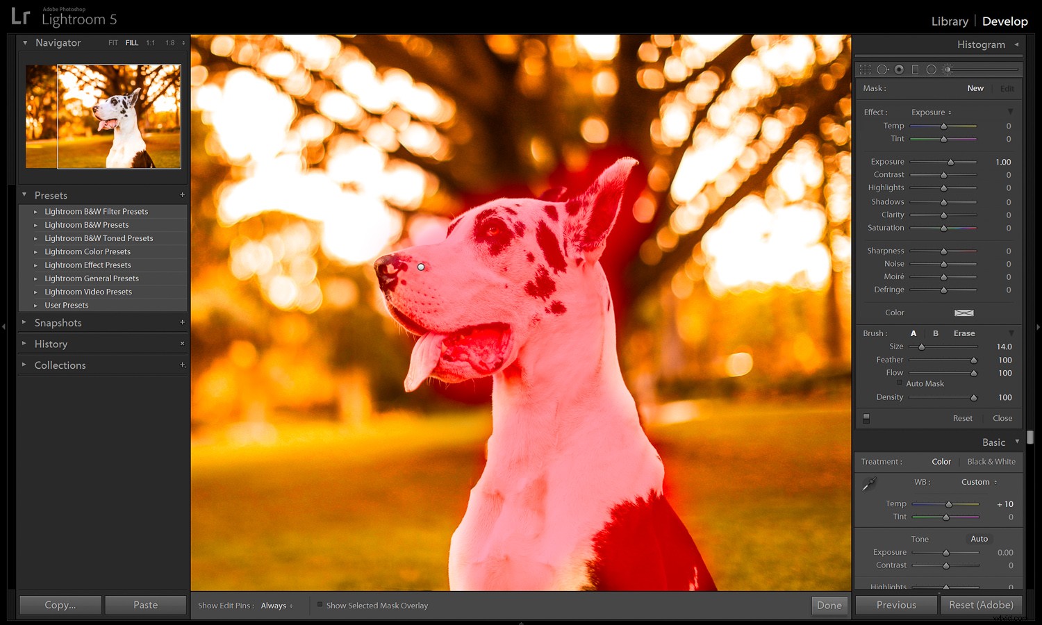How to Infuse Fall Vibes into Your Photos: Expert Editing Tips