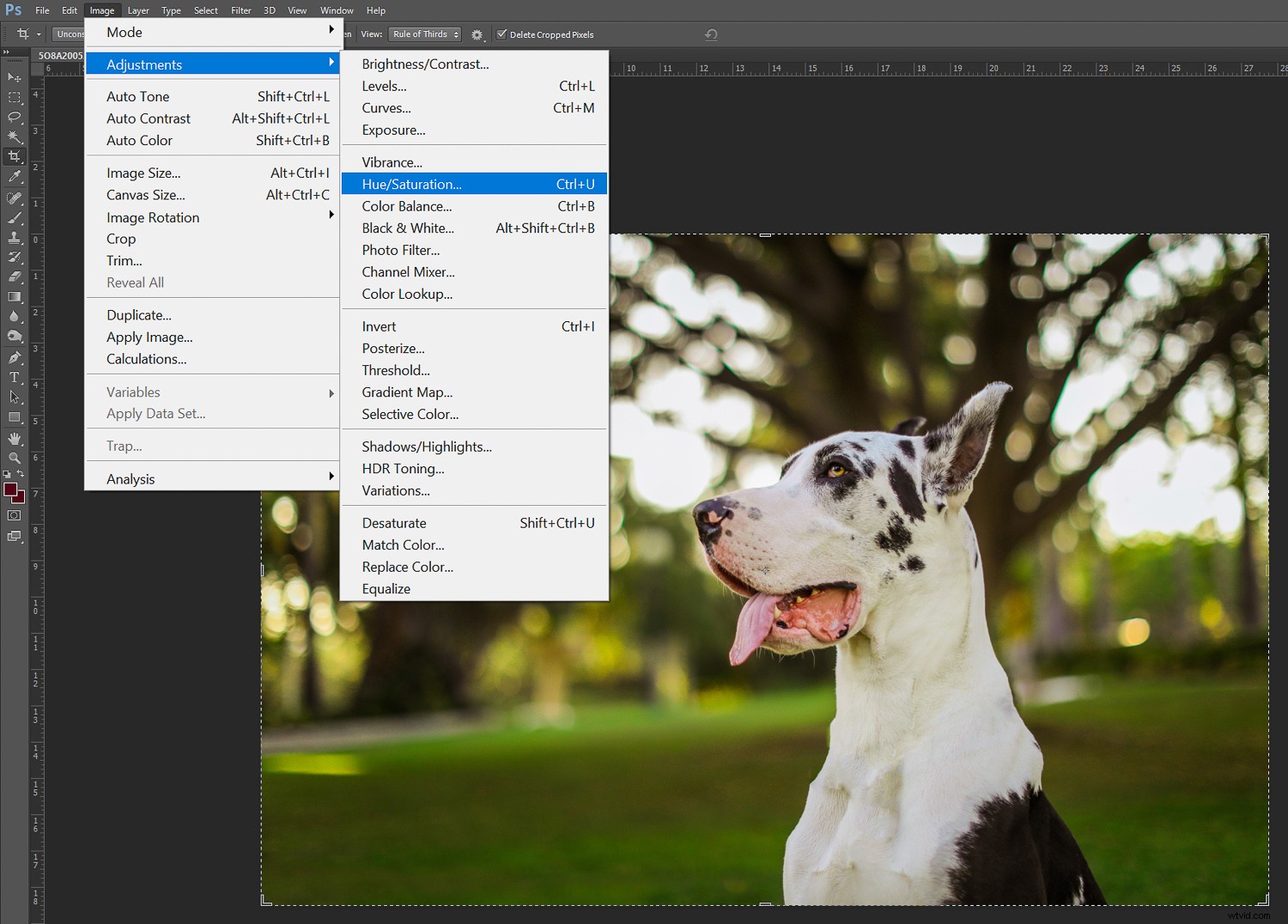 How to Infuse Fall Vibes into Your Photos: Expert Editing Tips