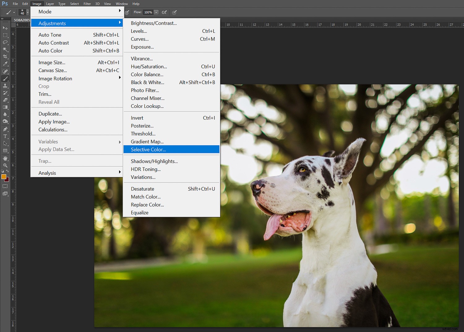 How to Infuse Fall Vibes into Your Photos: Expert Editing Tips