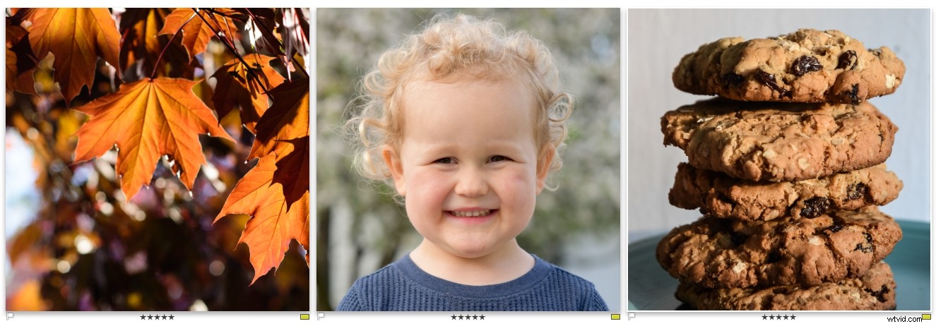 Master Camera Settings: The Ultimate Guide for Absolute Beginners