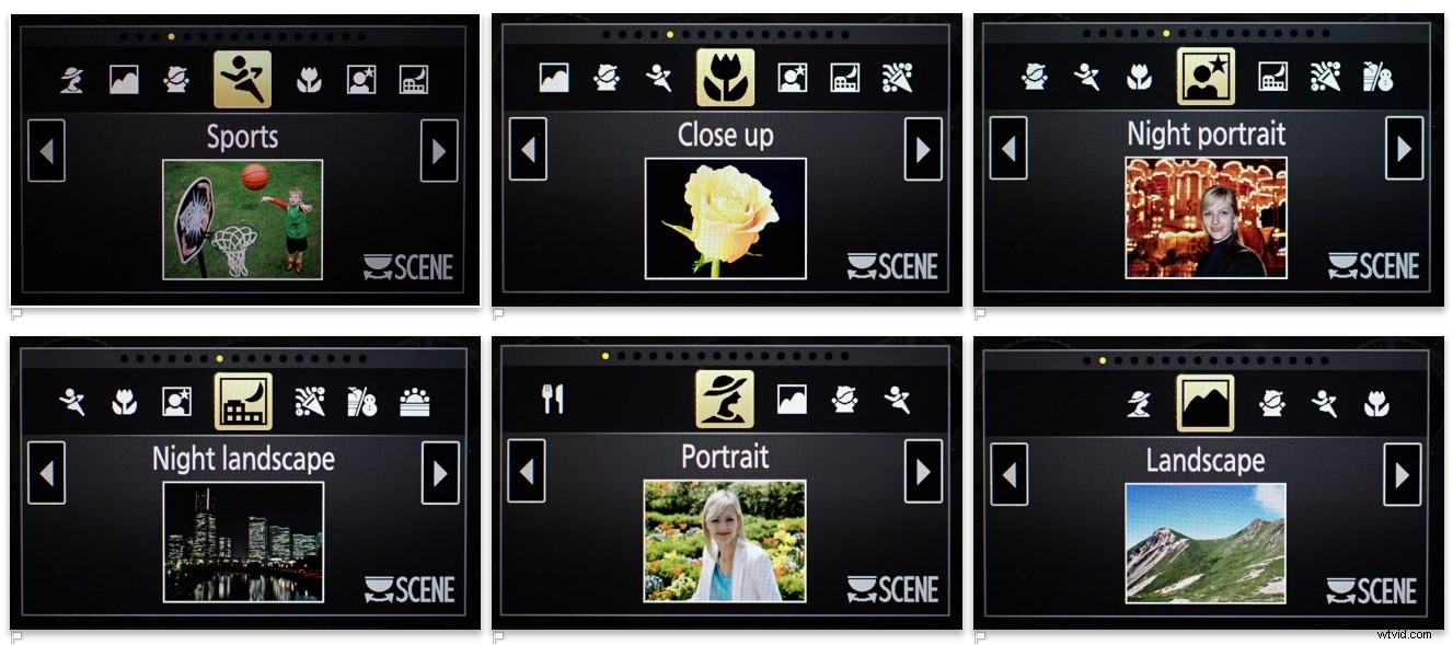 Master Camera Settings: The Ultimate Guide for Absolute Beginners