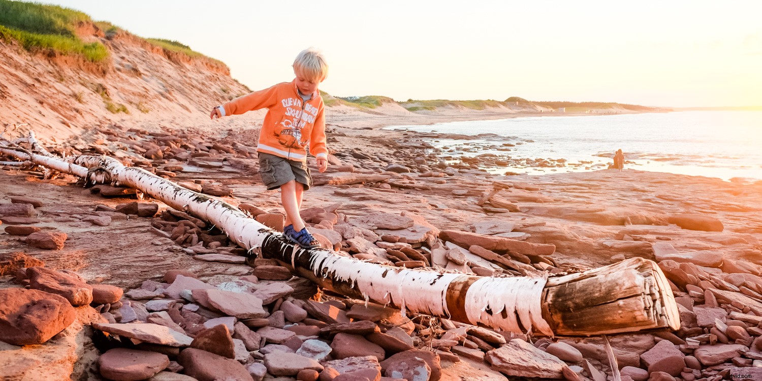 Master Camera Settings: The Ultimate Guide for Absolute Beginners