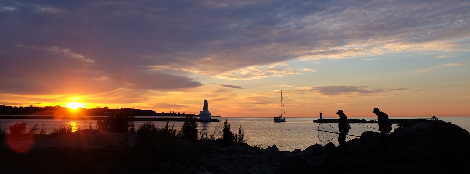 Master Camera Settings: The Ultimate Guide for Absolute Beginners