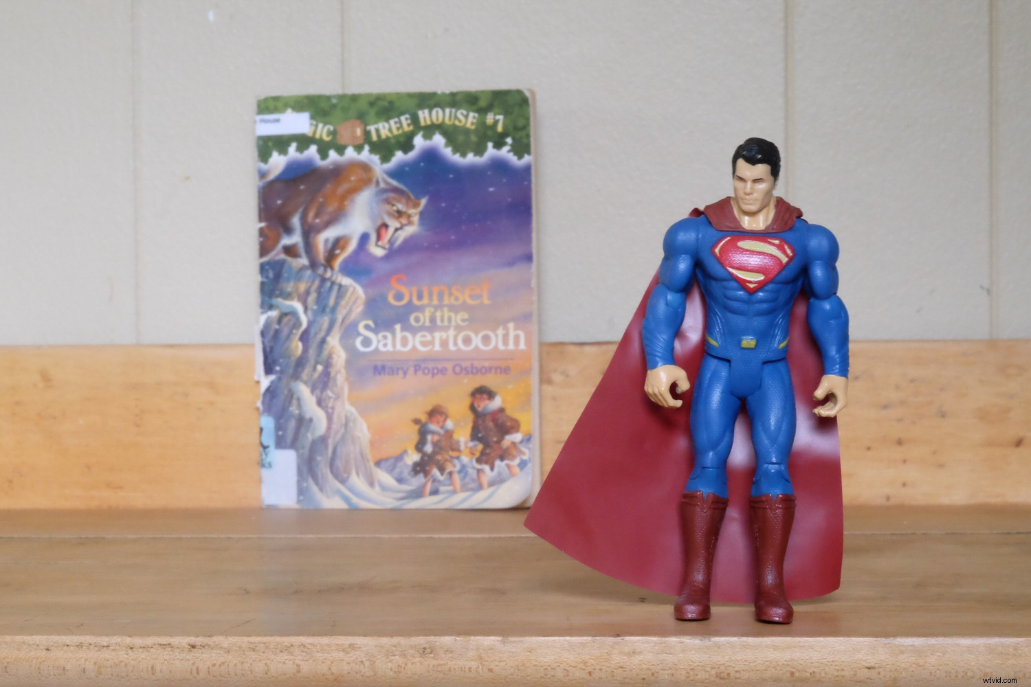 Master Camera Settings: The Ultimate Guide for Absolute Beginners