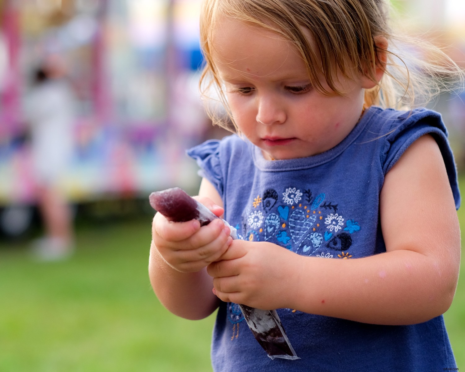 Master Camera Settings: The Ultimate Guide for Absolute Beginners