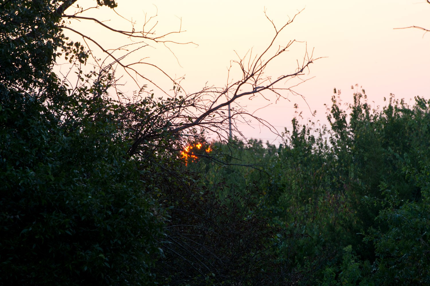 Capture Stunning Sunrise Photos: Pro Tips for Zoom Lens Mastery