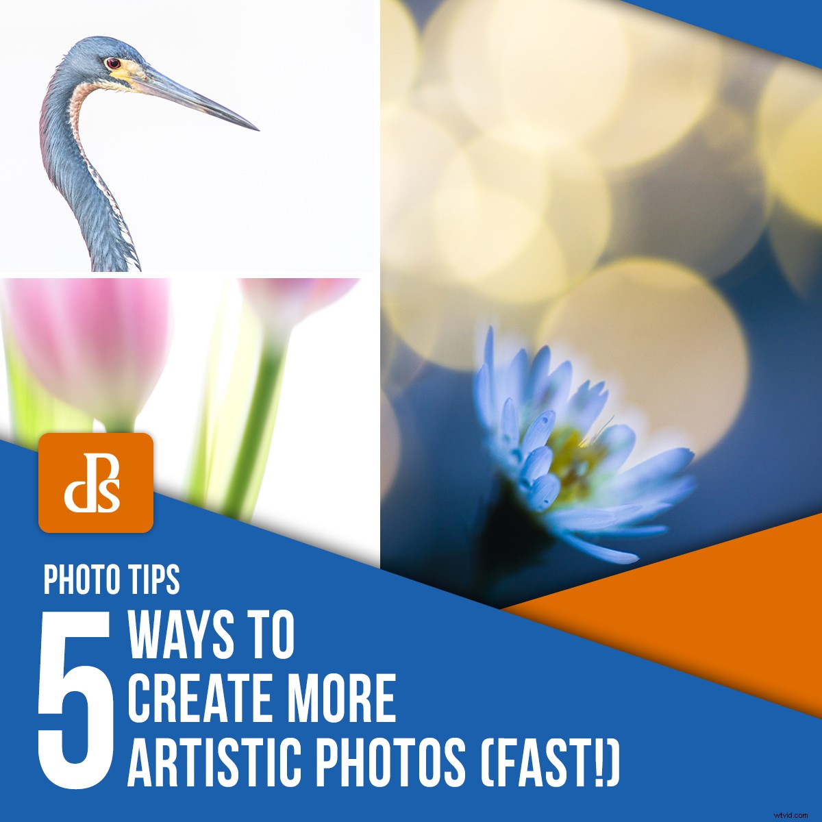 5 Proven Techniques to Elevate Your Photos into Artistic Masterpieces Quickly