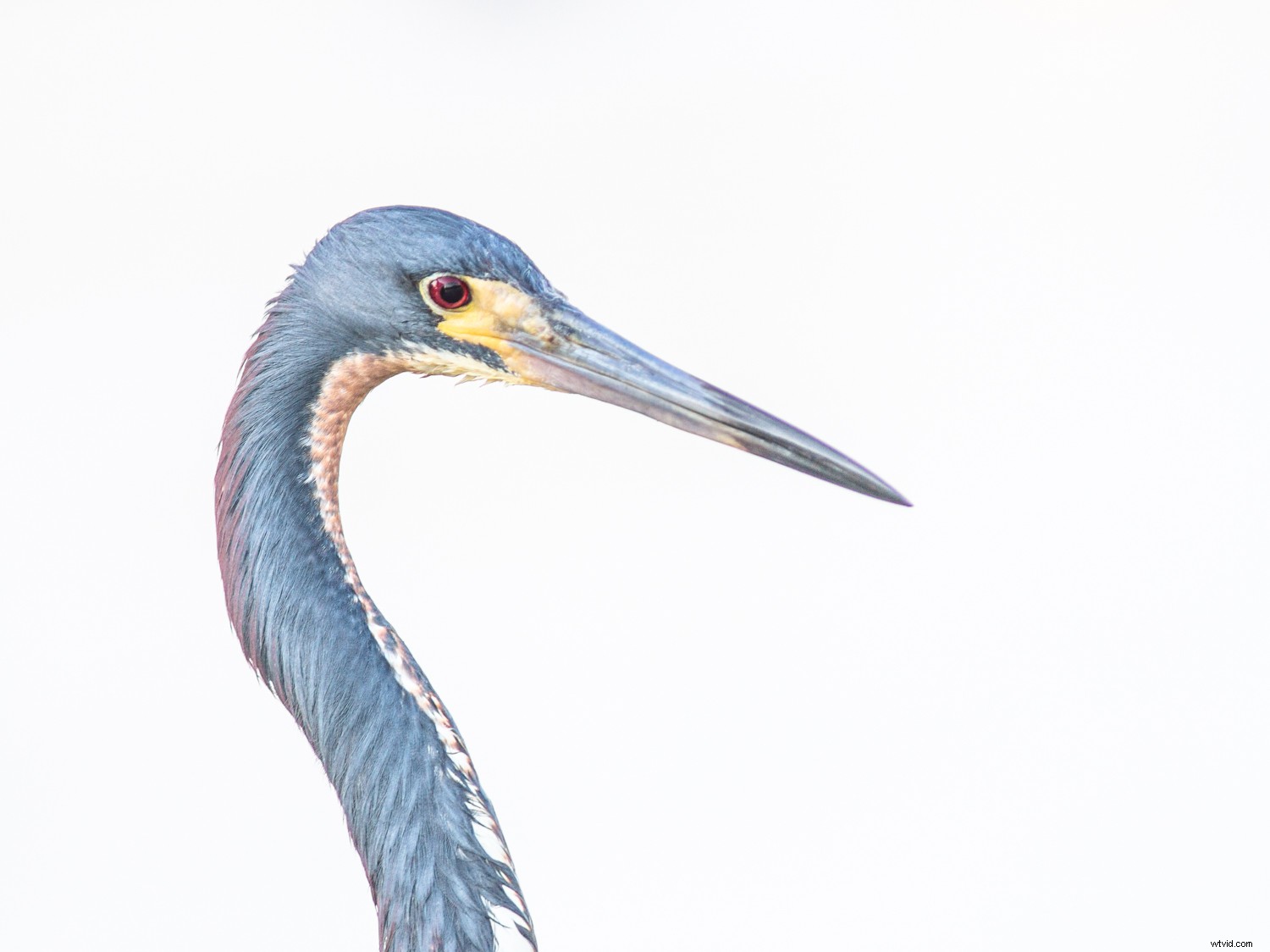 5 Proven Techniques to Elevate Your Photos into Artistic Masterpieces Quickly