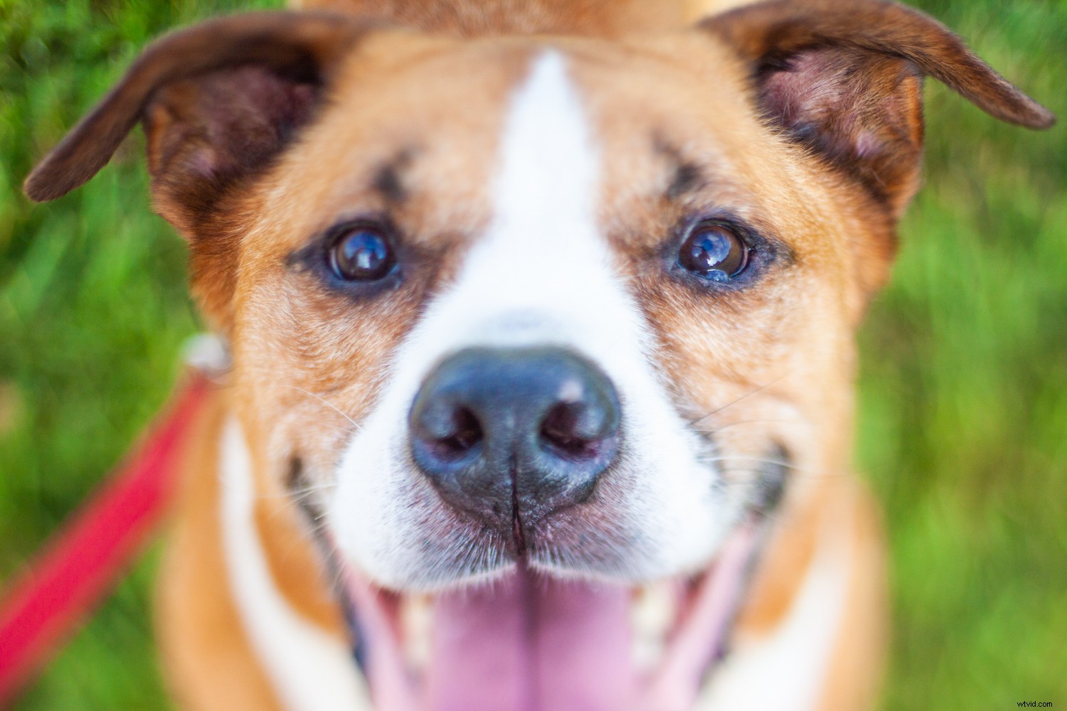 5 Proven Techniques to Elevate Your Photos into Artistic Masterpieces Quickly