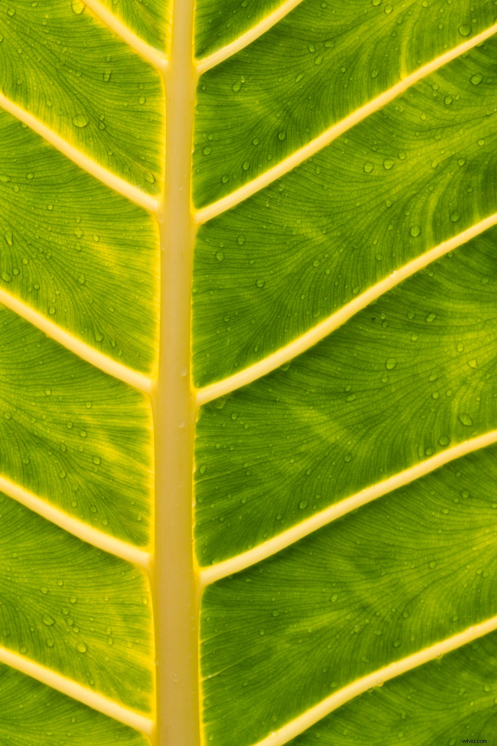 5 Proven Techniques to Elevate Your Photos into Artistic Masterpieces Quickly