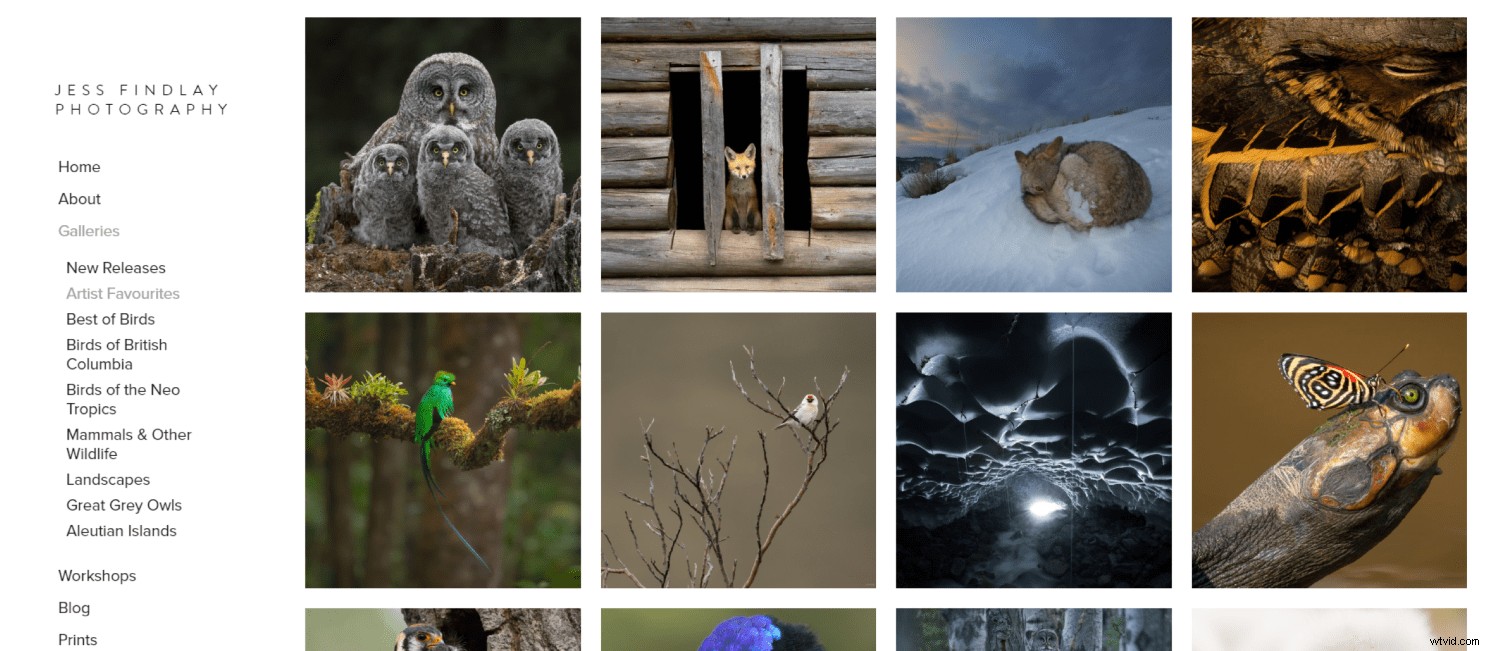5 Proven Techniques to Elevate Your Photos into Artistic Masterpieces Quickly