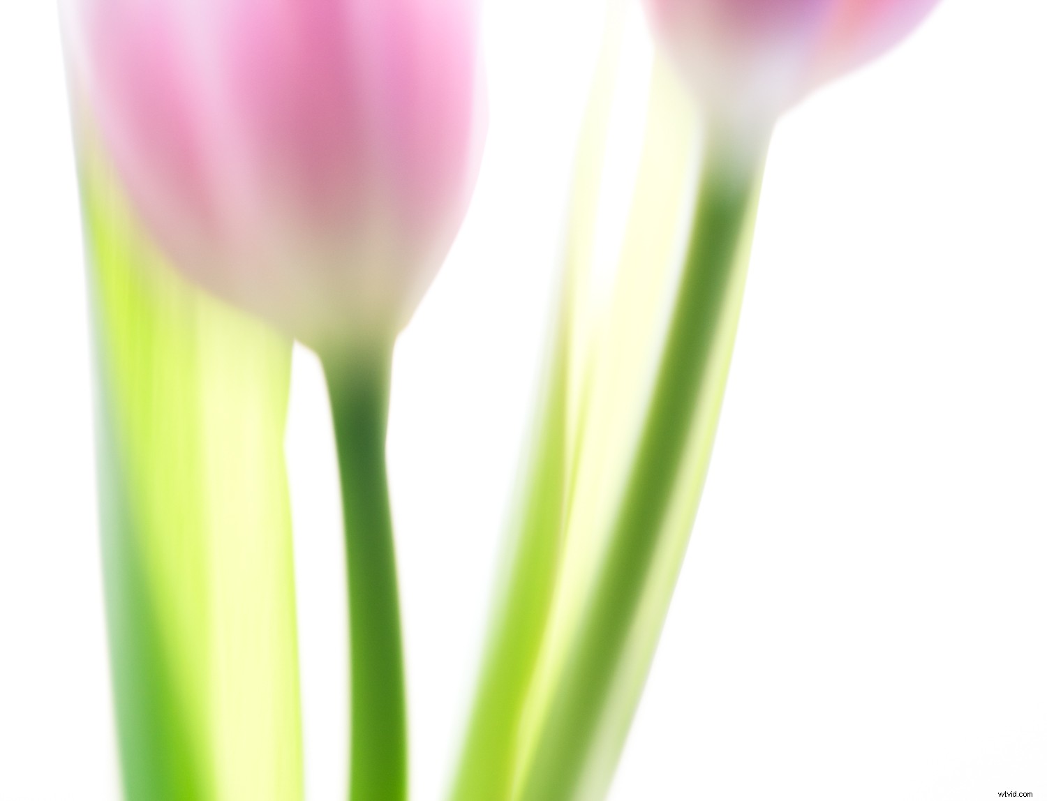 5 Proven Techniques to Elevate Your Photos into Artistic Masterpieces Quickly