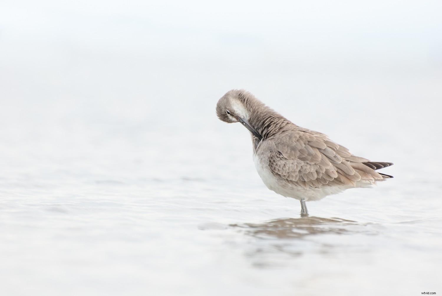 5 Proven Techniques to Elevate Your Photos into Artistic Masterpieces Quickly