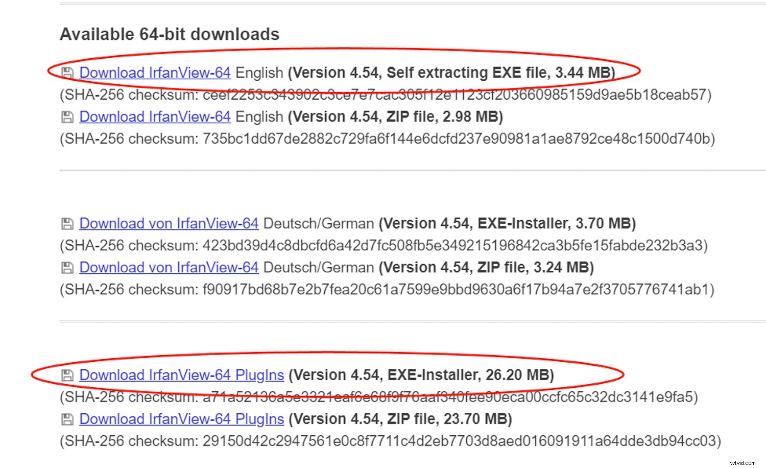IrfanView: The Essential Free Image Viewer and Editor for Every Photographer