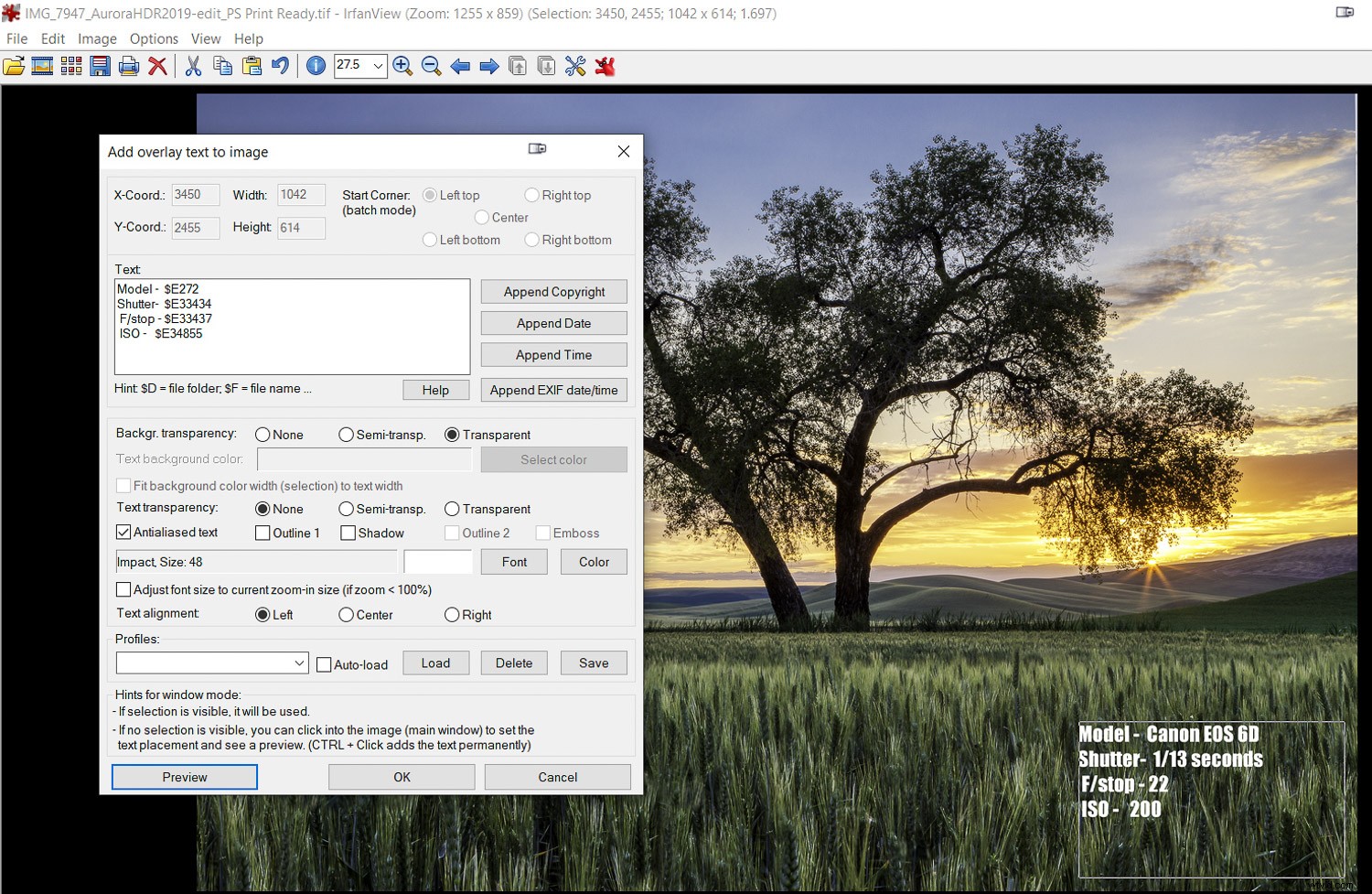 IrfanView: The Essential Free Image Viewer and Editor for Every Photographer