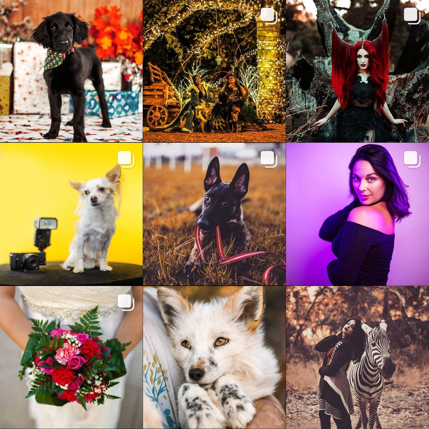 Craft a Cohesive Instagram Feed: Pro Tips for Photographers to Elevate Your Brand