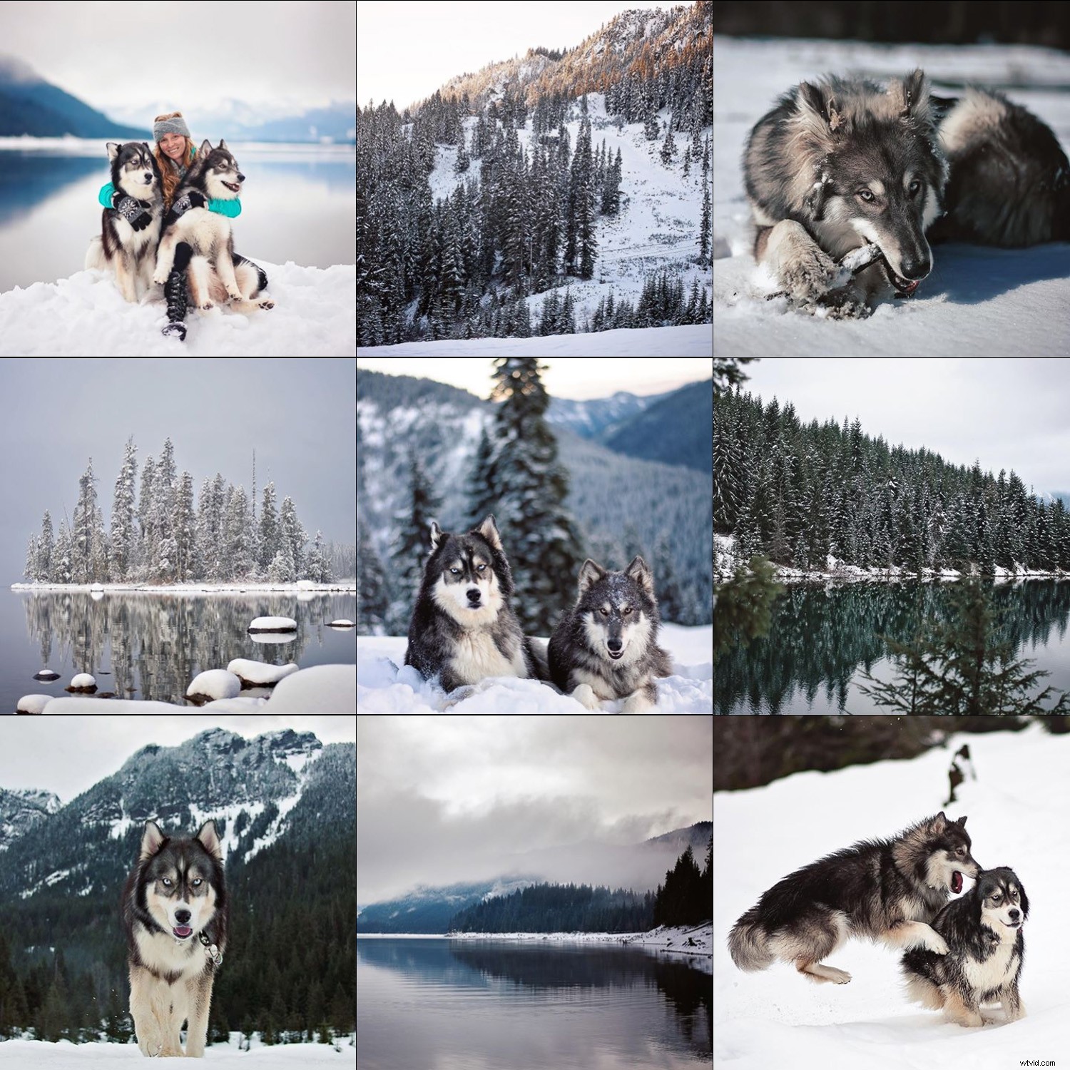 Craft a Cohesive Instagram Feed: Pro Tips for Photographers to Elevate Your Brand