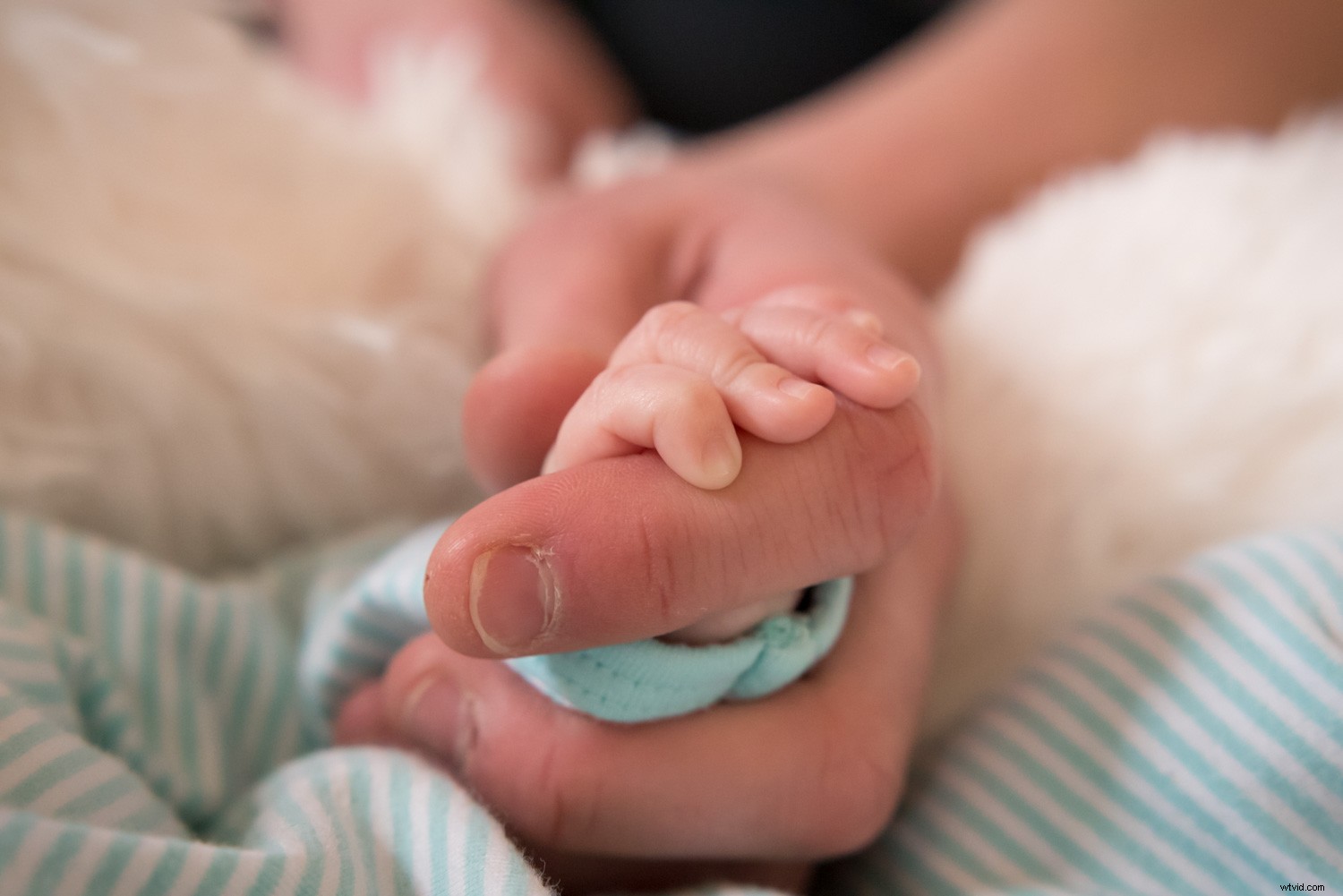 Essential Phrases to Confidently Tell Your Photography Clients