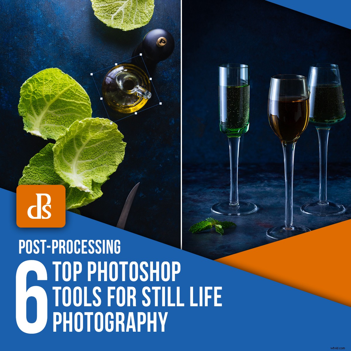 6 Essential Photoshop Tools for Stunning Still Life Photography