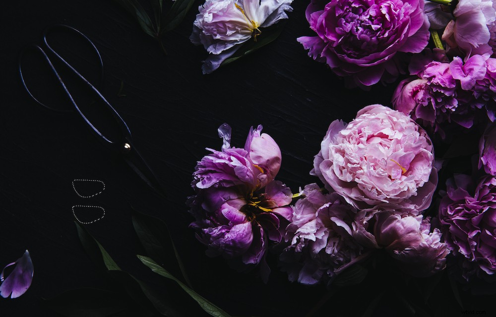 6 Essential Photoshop Tools for Stunning Still Life Photography