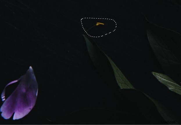 6 Essential Photoshop Tools for Stunning Still Life Photography