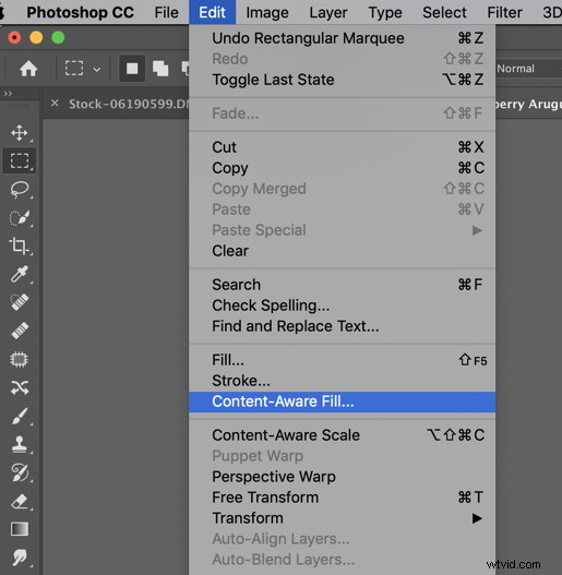 6 Essential Photoshop Tools for Stunning Still Life Photography