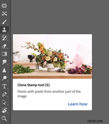 6 Essential Photoshop Tools for Stunning Still Life Photography