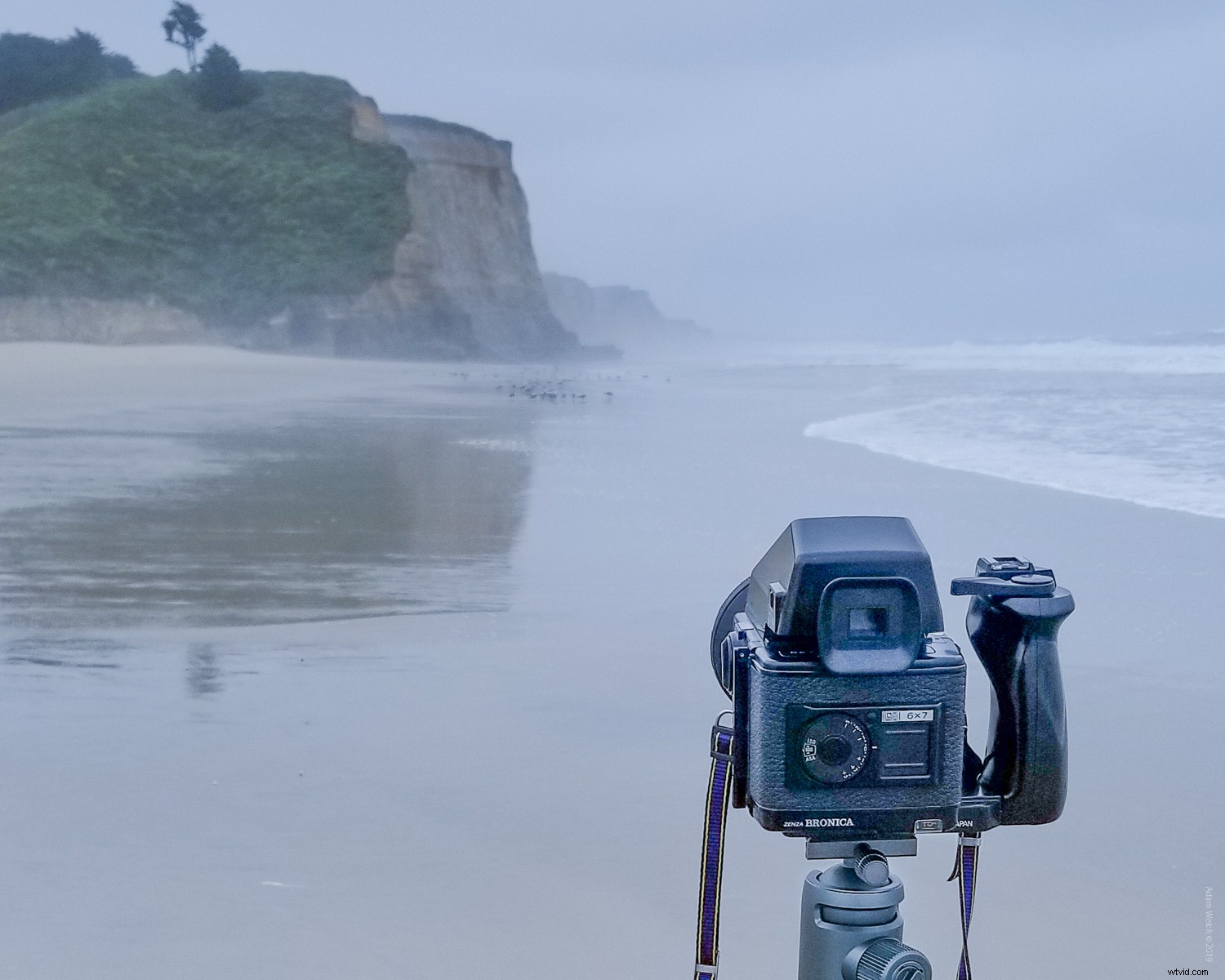 Shutter Speed Fundamentals: Mastering Motion in Photography