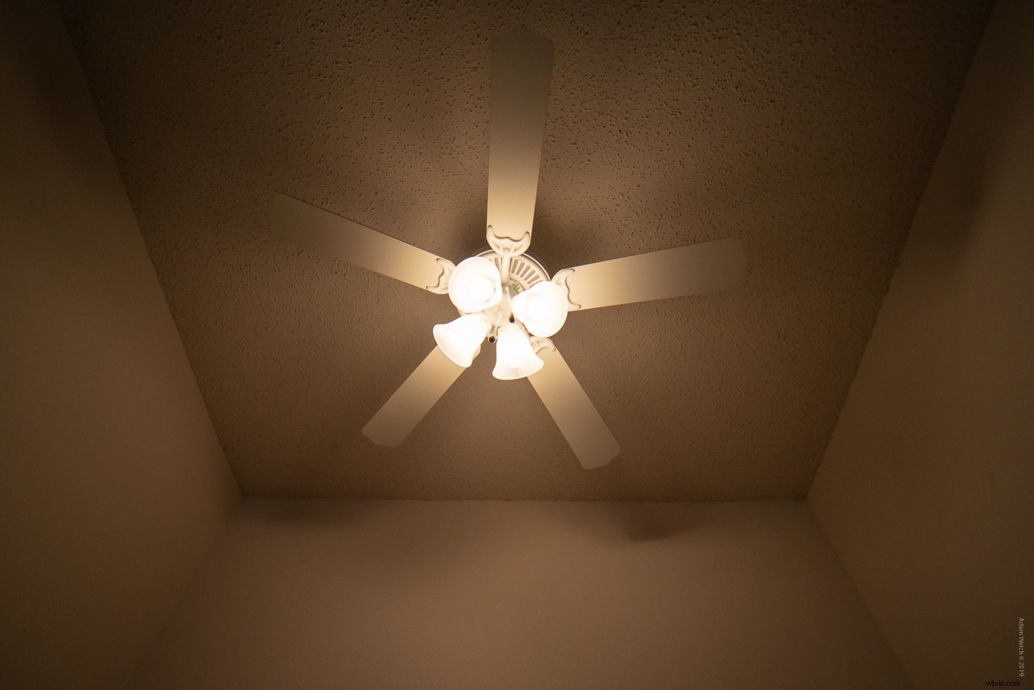 Shutter Speed Fundamentals: Mastering Motion in Photography