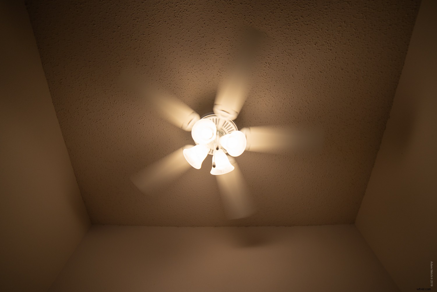 Shutter Speed Fundamentals: Mastering Motion in Photography