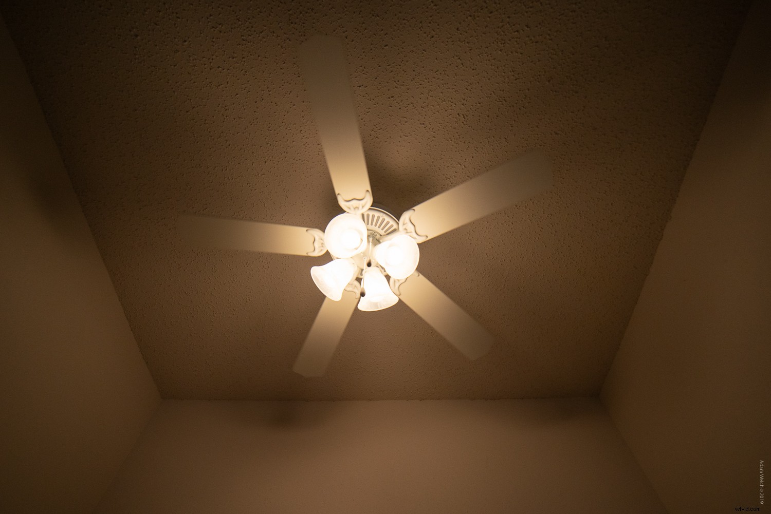 Shutter Speed Fundamentals: Mastering Motion in Photography