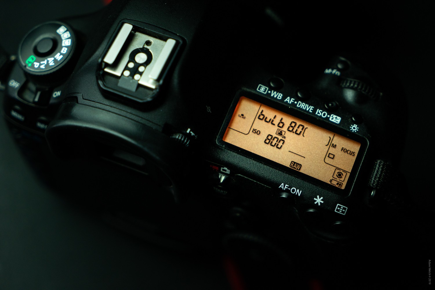 Shutter Speed Fundamentals: Mastering Motion in Photography