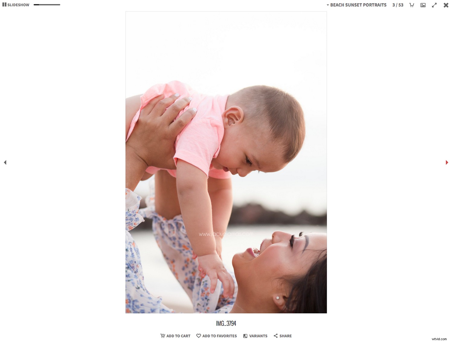 Instaproofs Review: The Ultimate All-in-One Platform for Selling Photography Online