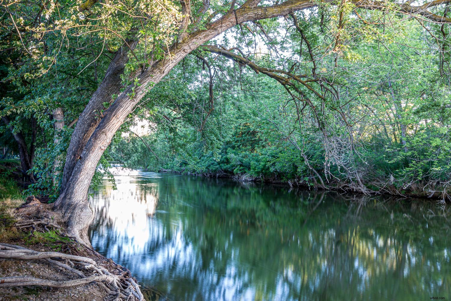 Master Long Exposure Photography: Create Stunning 5-Second Creative Images