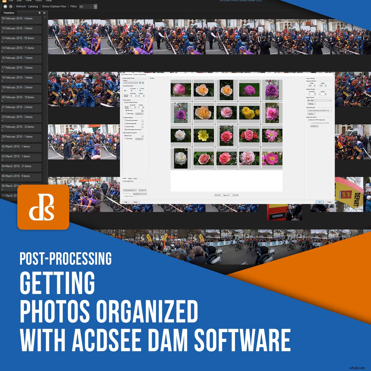 Effortlessly Organize Your Photos with ACDSee DAM Software