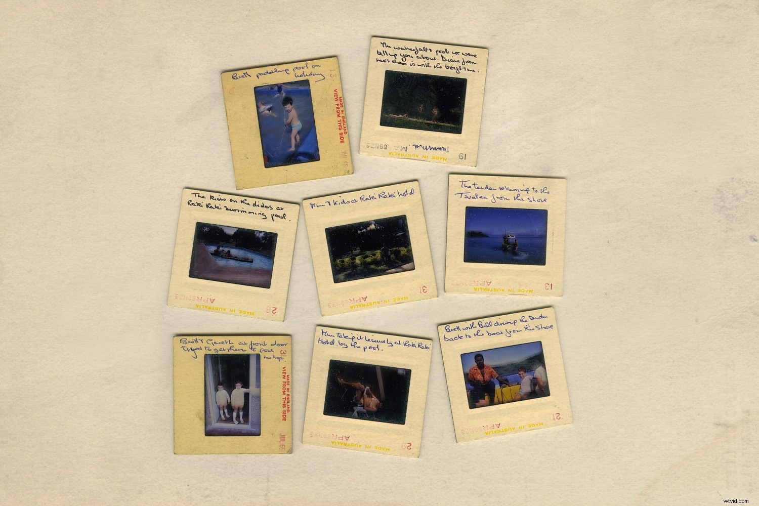 Effortlessly Organize Your Photos with ACDSee DAM Software