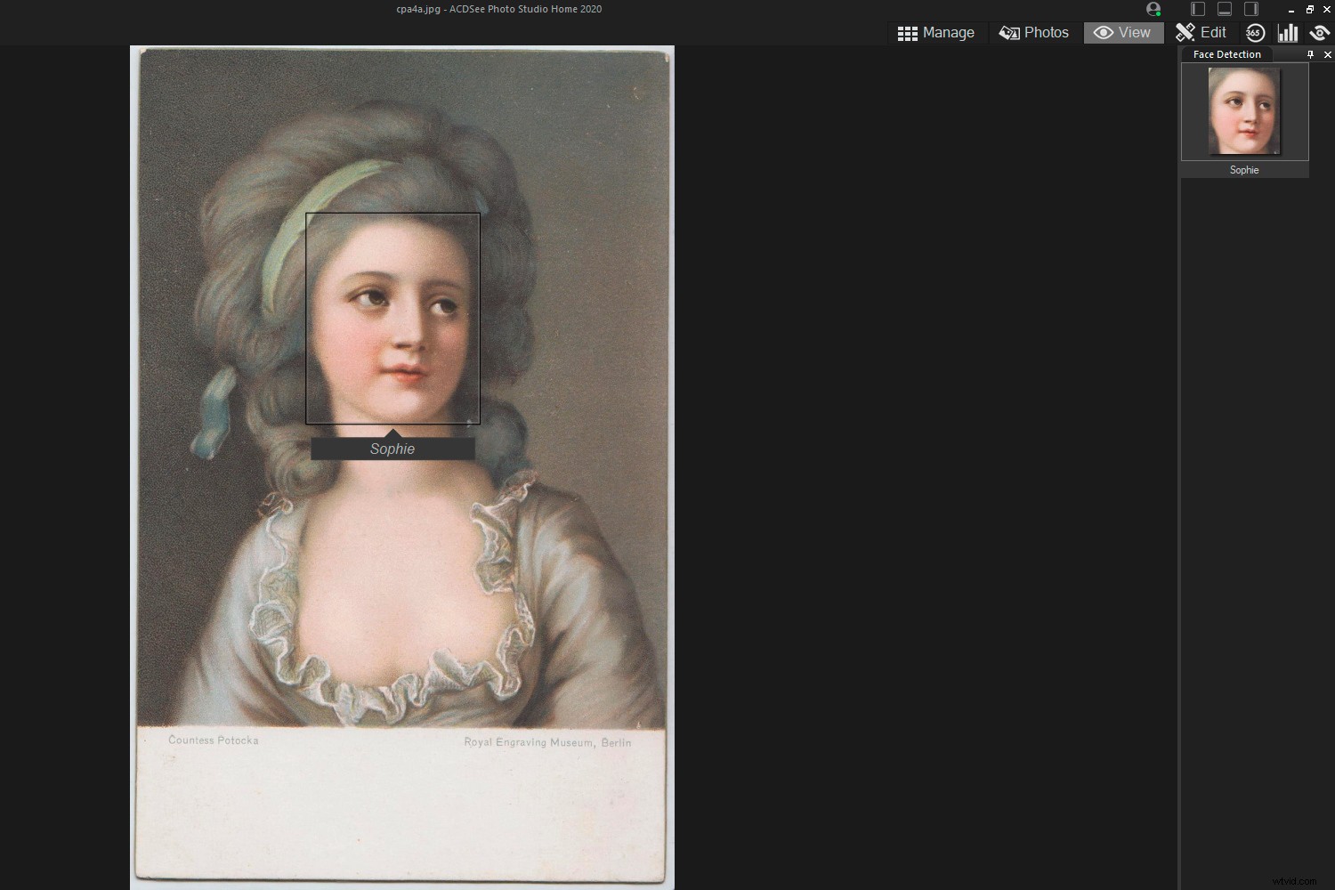 Effortlessly Organize Your Photos with ACDSee DAM Software