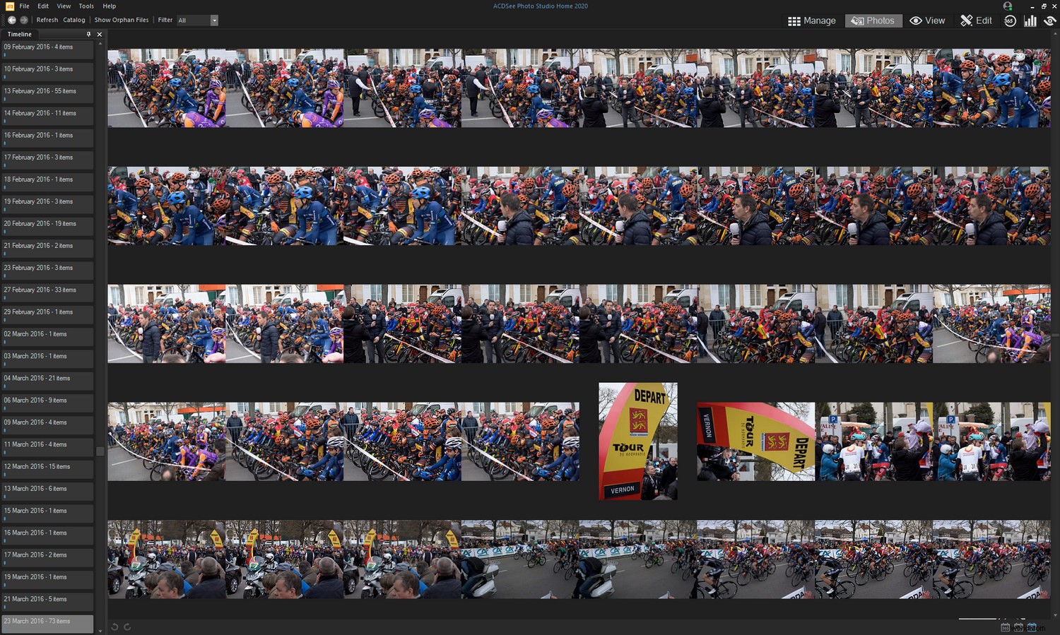 Effortlessly Organize Your Photos with ACDSee DAM Software