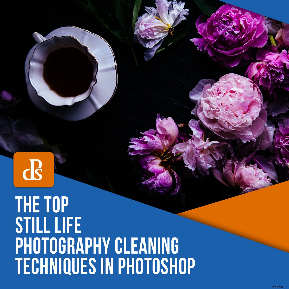 Expert Photoshop Cleaning Techniques for Stunning Still Life Photography
