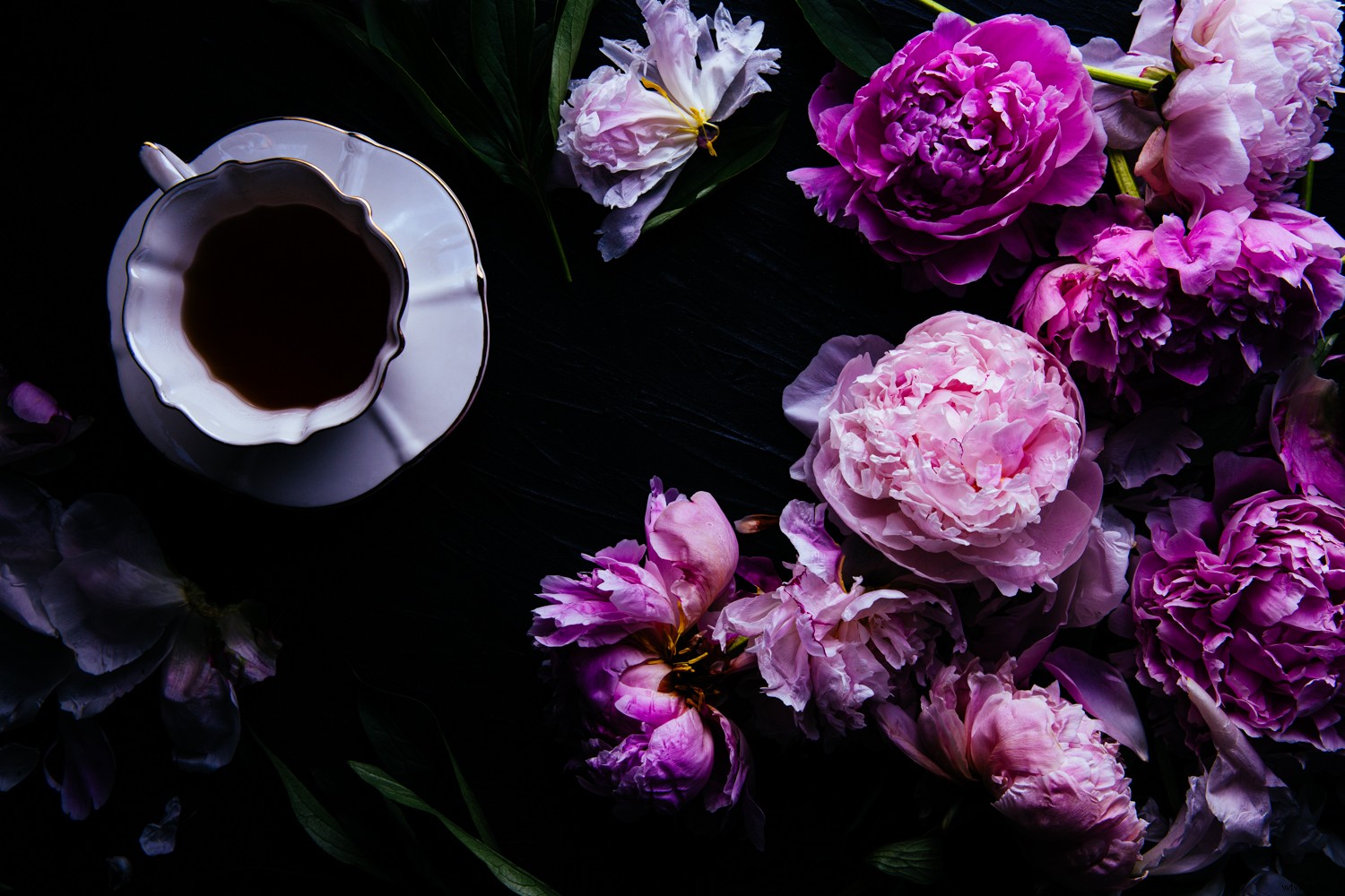 Expert Photoshop Cleaning Techniques for Stunning Still Life Photography