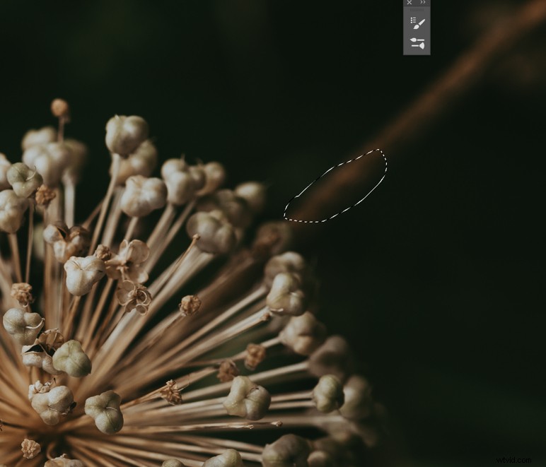 Expert Photoshop Cleaning Techniques for Stunning Still Life Photography