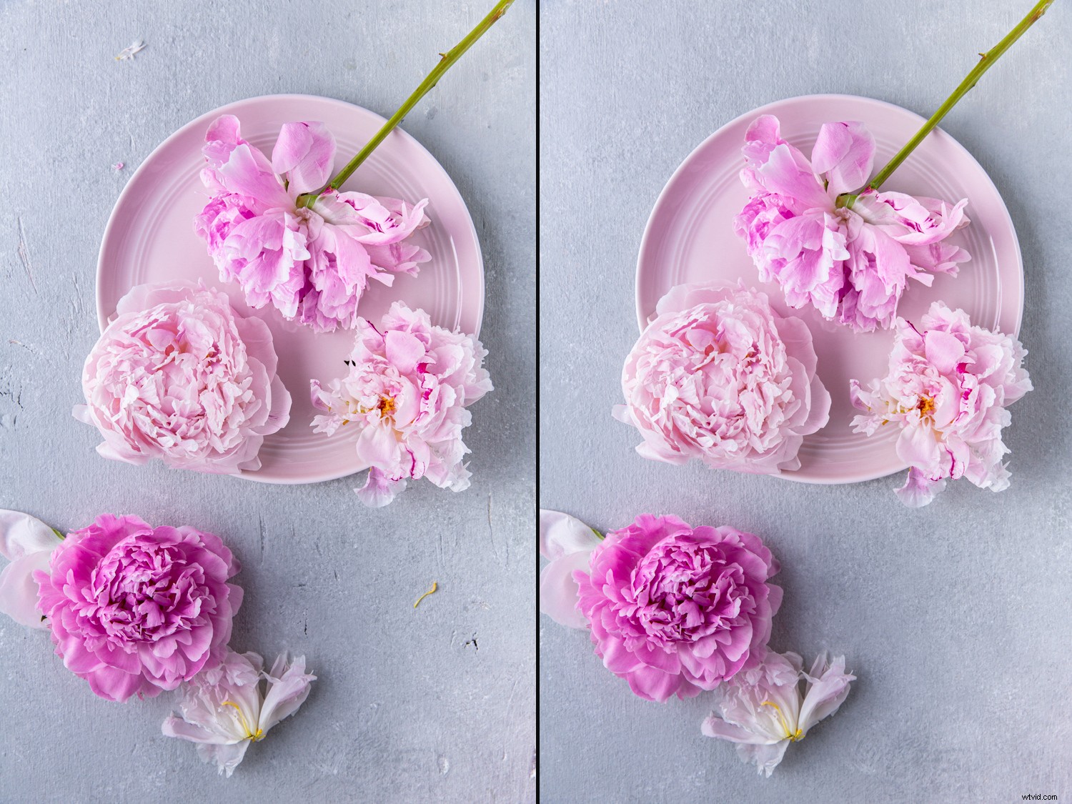 Expert Photoshop Cleaning Techniques for Stunning Still Life Photography