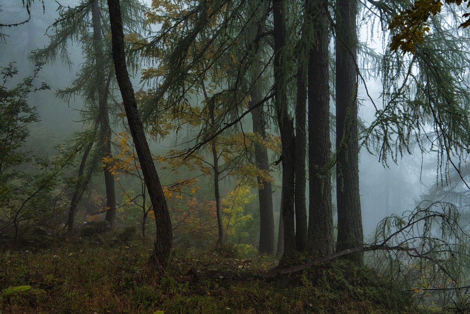 Master Luminar 4 s Pro Tools Panel: Expert Guide for Stunning Edits