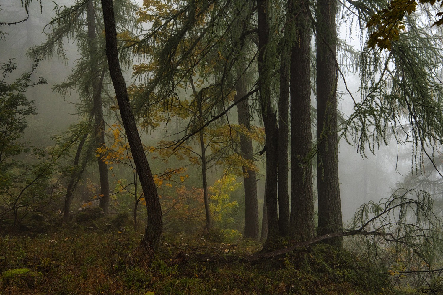 Master Luminar 4 s Pro Tools Panel: Expert Guide for Stunning Edits