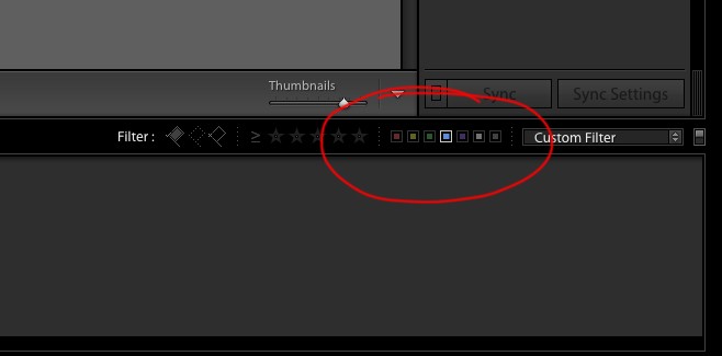 Streamline Your Photography Workflow: Essential File Management Tips