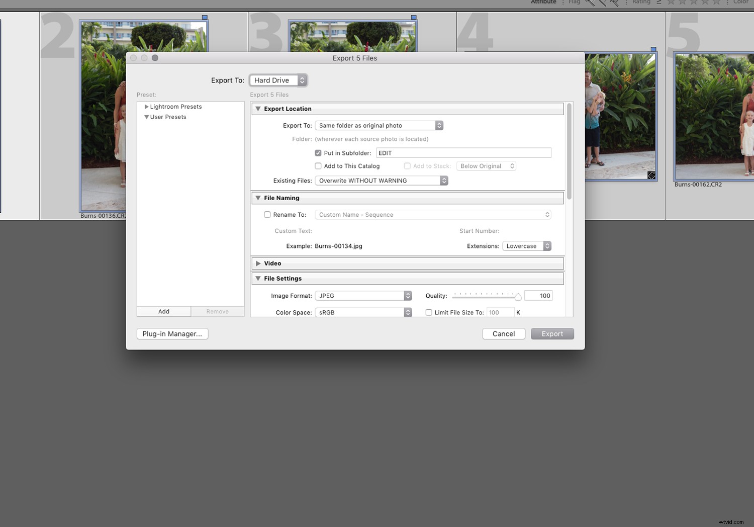 Streamline Your Photography Workflow: Essential File Management Tips
