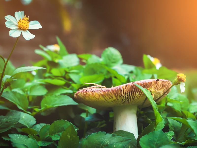 Mastering Aspect Ratios: The Essential Guide for Photographers