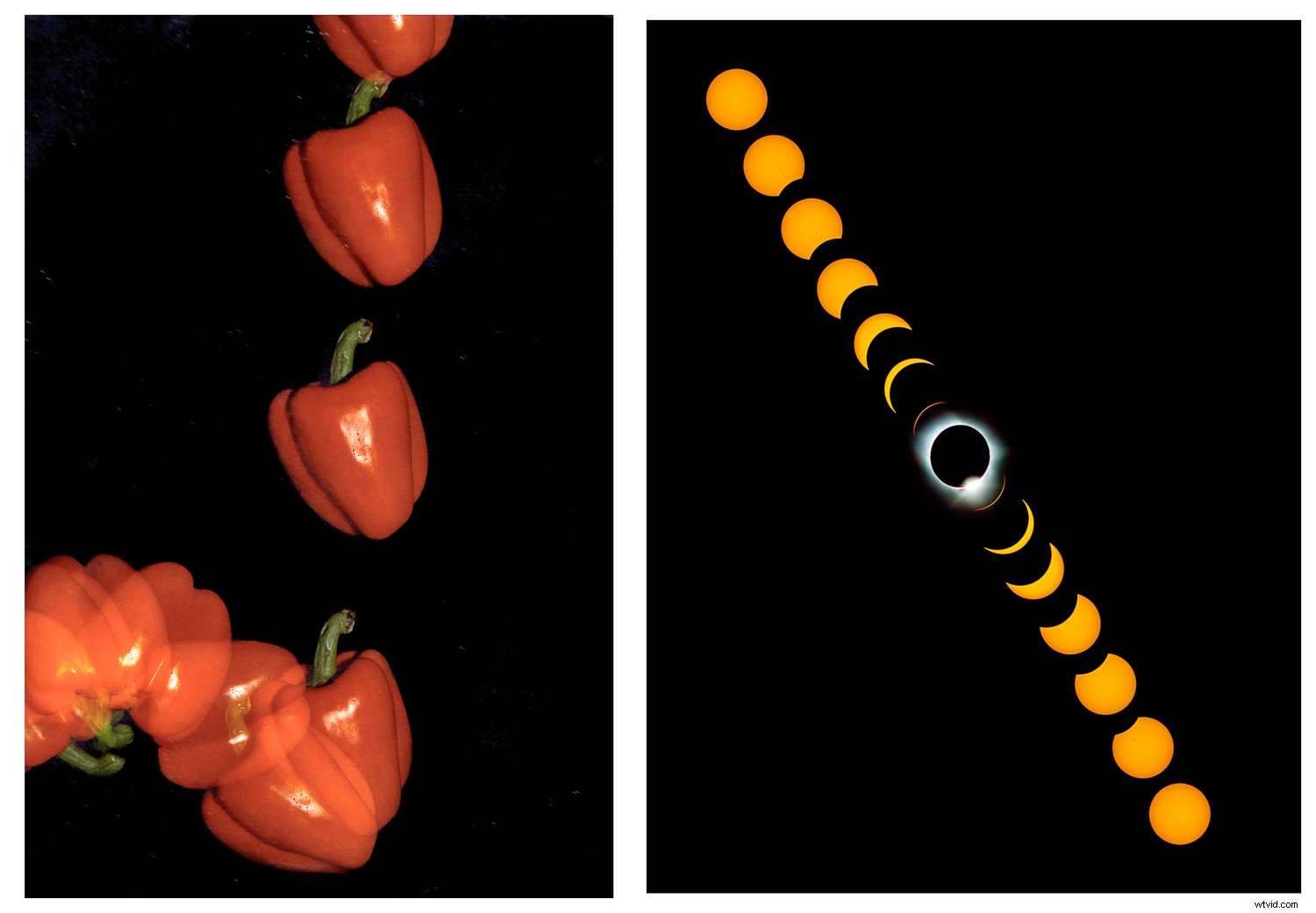 Photography Beyond Human Vision: Types That Freeze Time and Reveal the Invisible