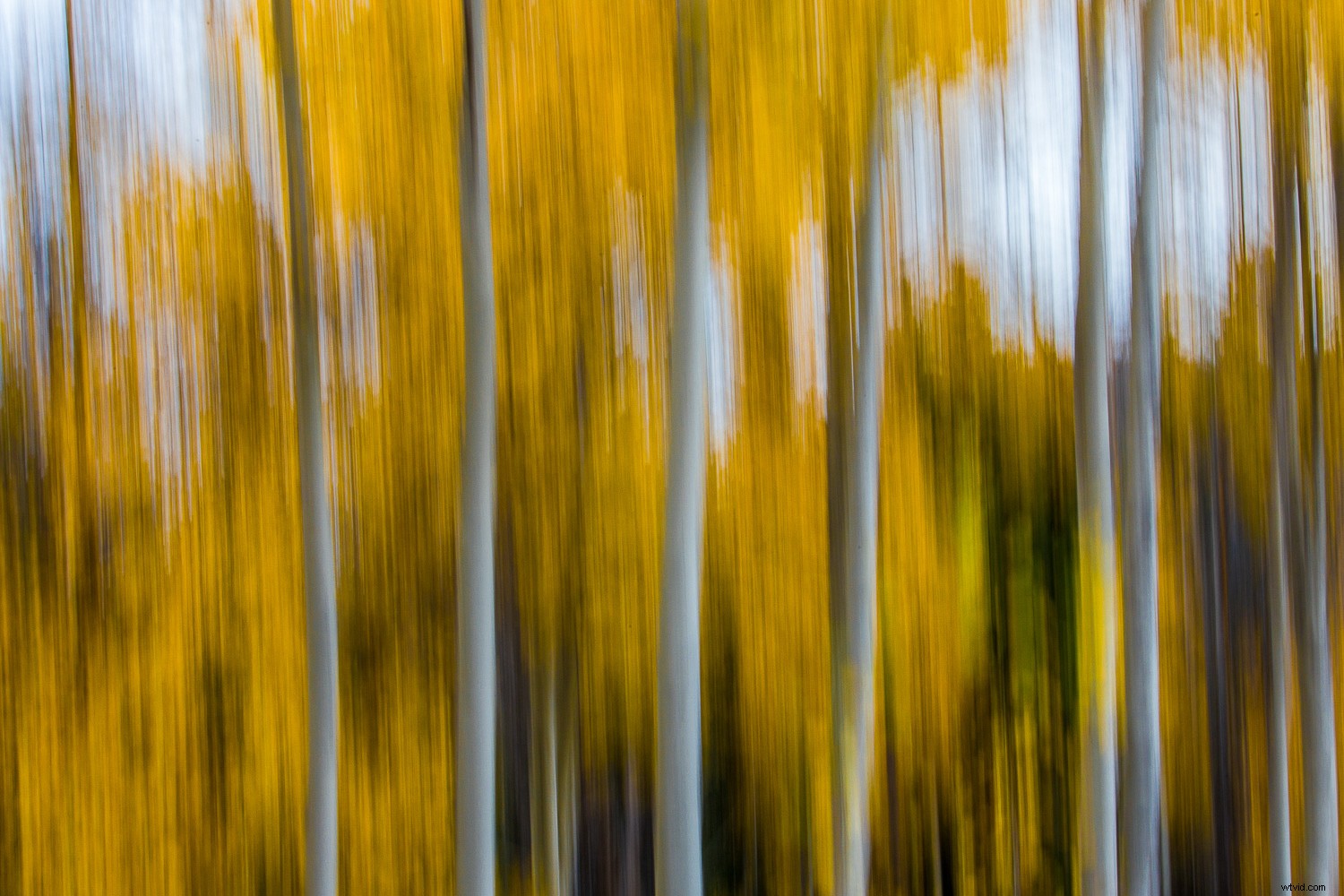 Photography Beyond Human Vision: Types That Freeze Time and Reveal the Invisible