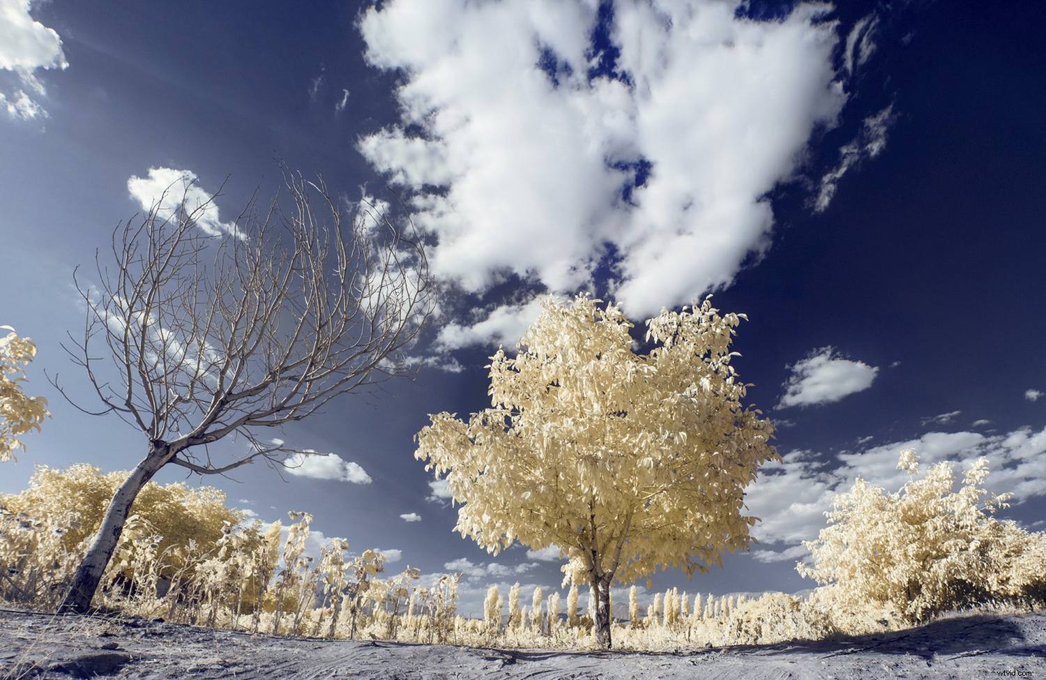 Photography Beyond Human Vision: Types That Freeze Time and Reveal the Invisible